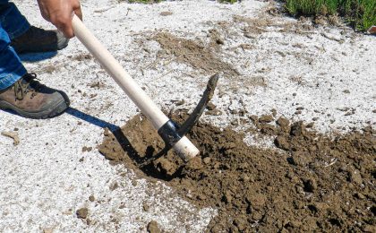 land-tax-exemptions-tips-and-lessons-7786