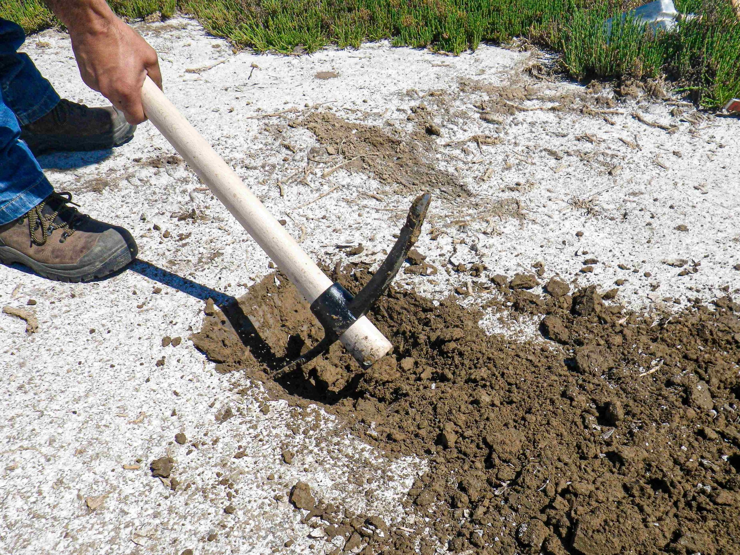 Land tax: exemptions, tips and lessons